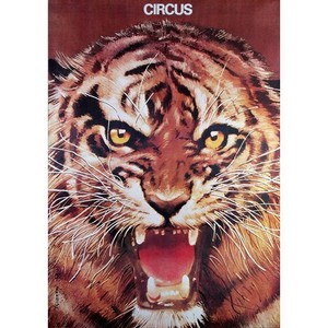 Circus - Lion