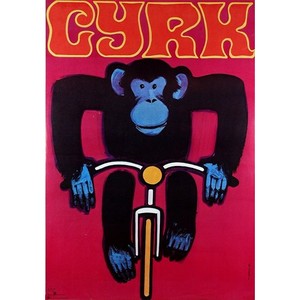 Monkey on Bicycle, Polish...