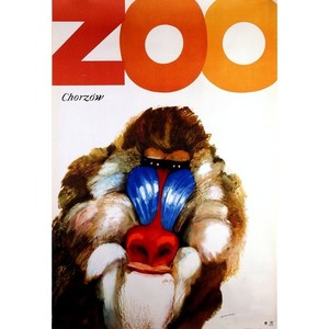 ZOO - Monkey, Polish Poster